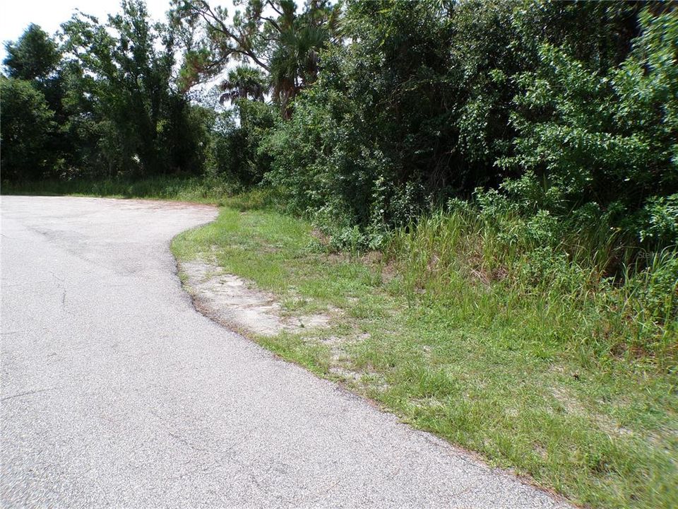 待售: $22,990 (0.22 acres)