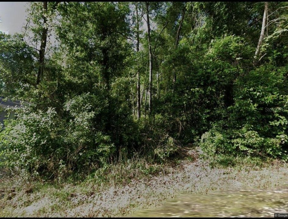 For Sale: $30,000 (0.22 acres)