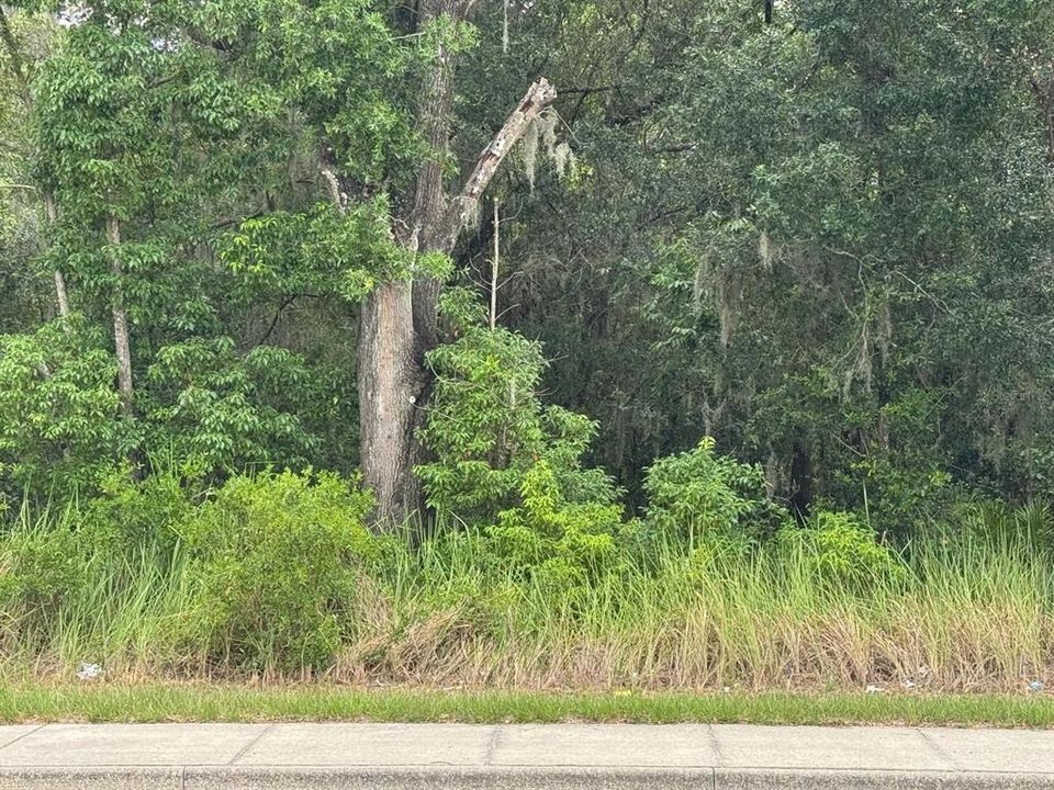 На продажу: $199,900 (3.91 acres)