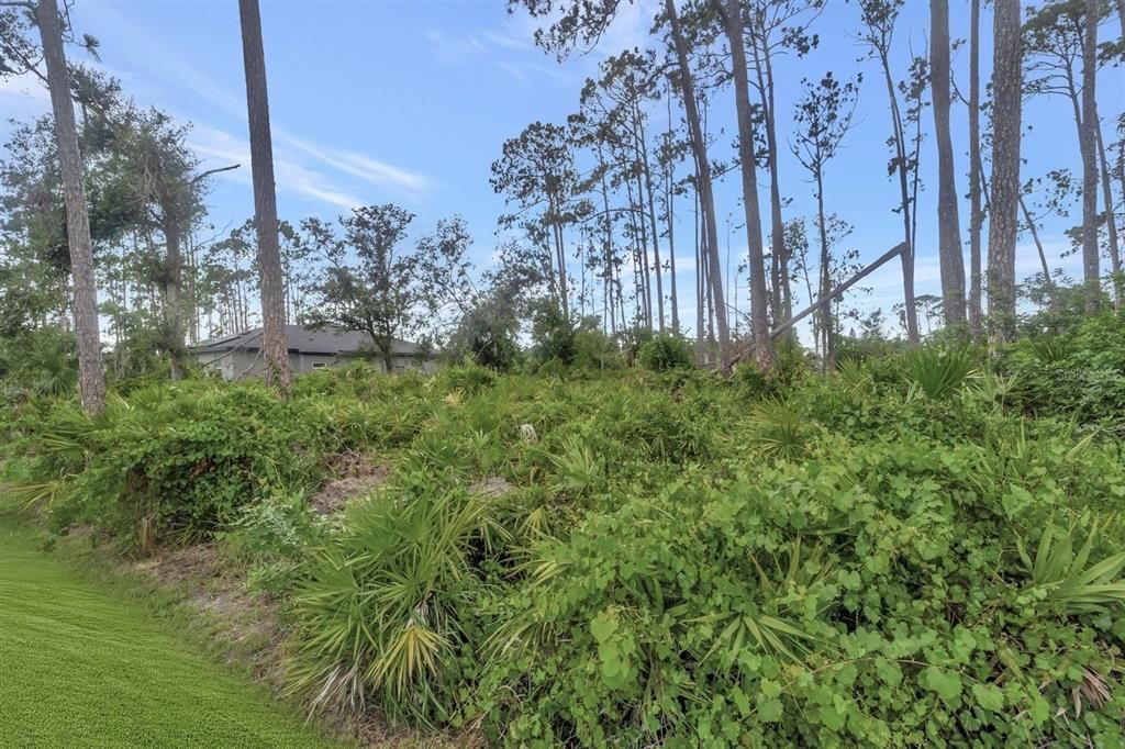 For Sale: $359,000 (3 beds, 2 baths, 1631 Square Feet)