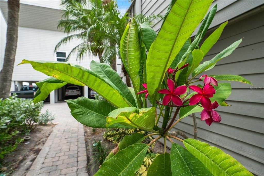 For Sale: $650,000 (2 beds, 2 baths, 1162 Square Feet)