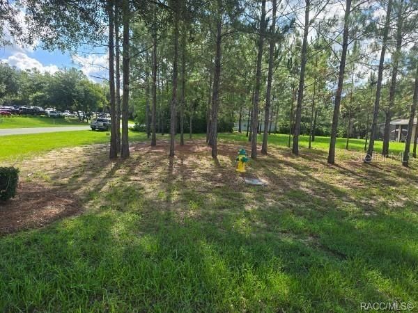 На продажу: $50,000 (0.30 acres)