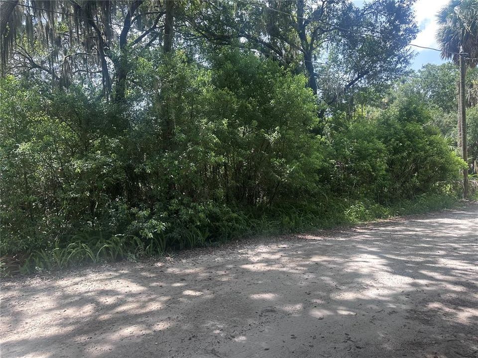 En Venta: $61,000 (0.31 acres)