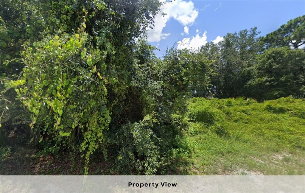 For Sale: $17,950 (0.46 acres)