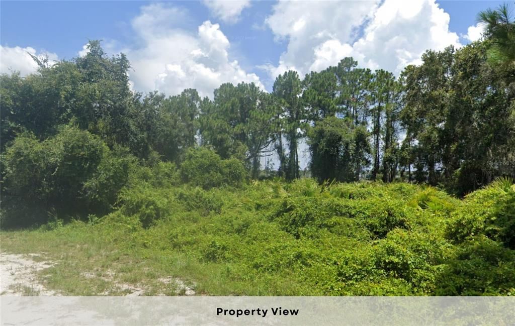 For Sale: $17,950 (0.46 acres)