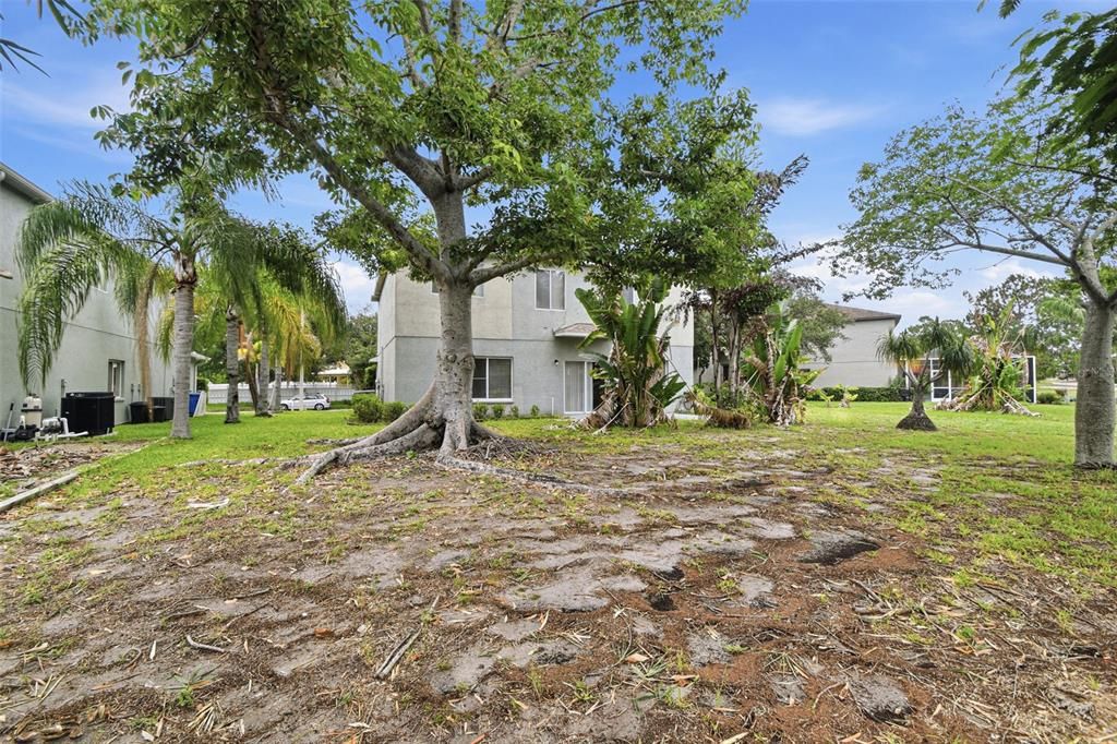 For Sale: $349,900 (3 beds, 2 baths, 2430 Square Feet)