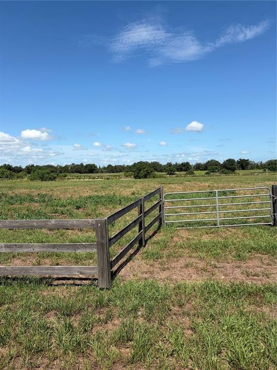 For Sale: $160,000 (5.03 acres)
