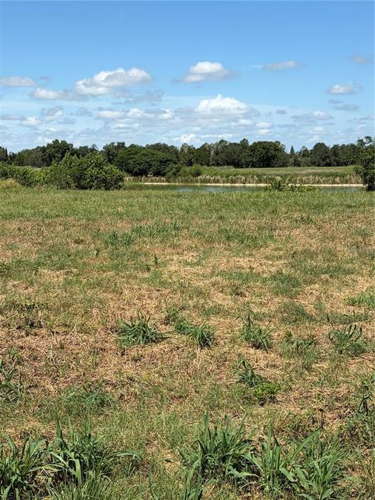 For Sale: $160,000 (5.03 acres)