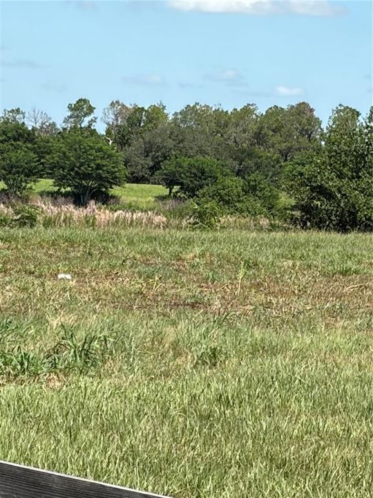 For Sale: $160,000 (5.03 acres)