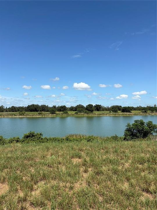 For Sale: $160,000 (5.03 acres)