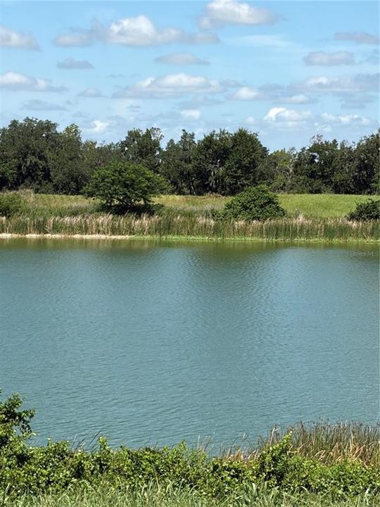 For Sale: $160,000 (5.03 acres)