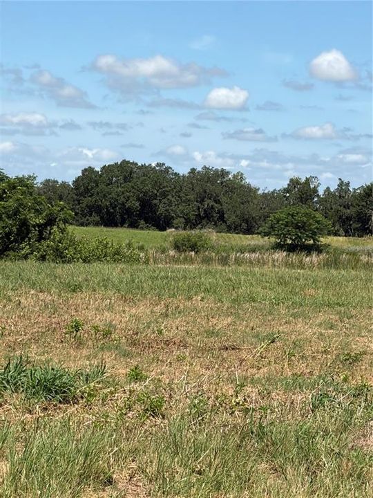 For Sale: $160,000 (5.03 acres)