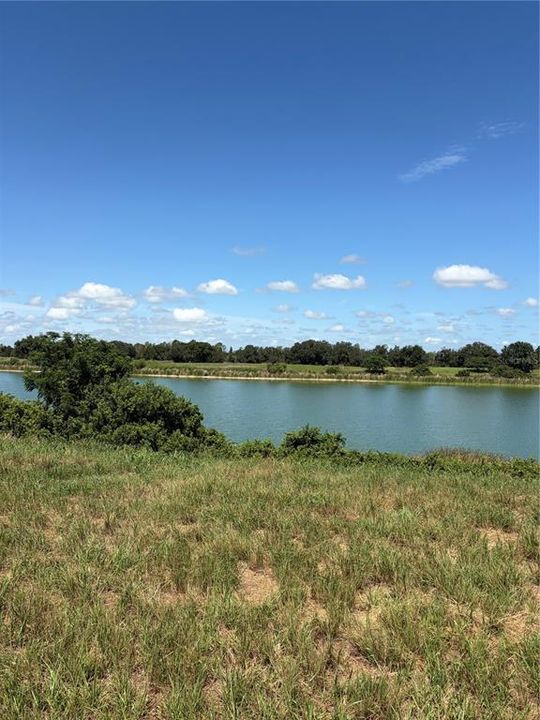 For Sale: $160,000 (5.03 acres)