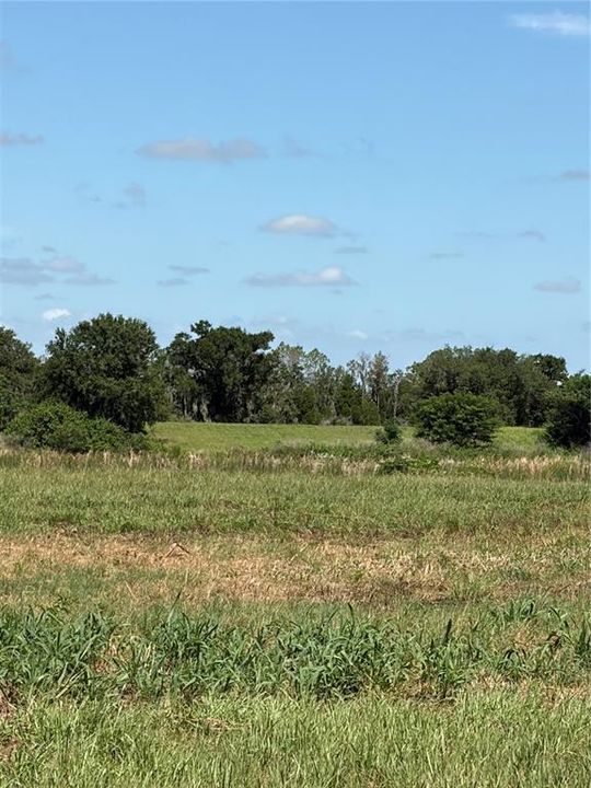 For Sale: $160,000 (5.03 acres)