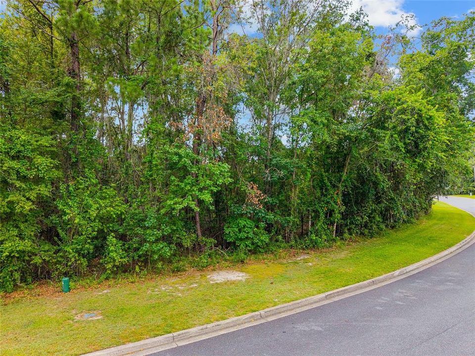 待售: $199,000 (0.36 acres)