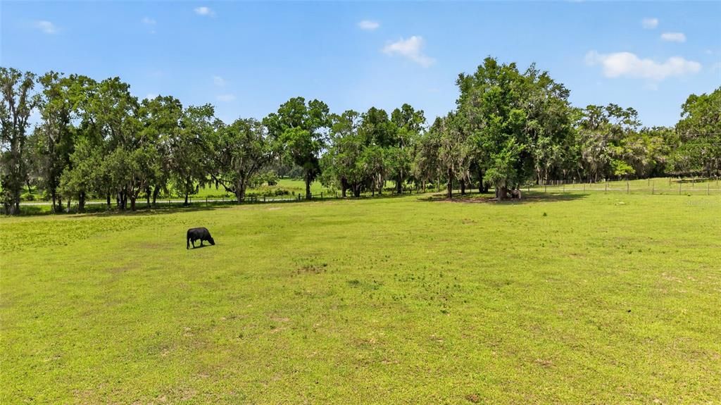 На продажу: $250,000 (4.32 acres)