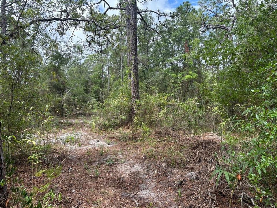 待售: $80,000 (0.92 acres)