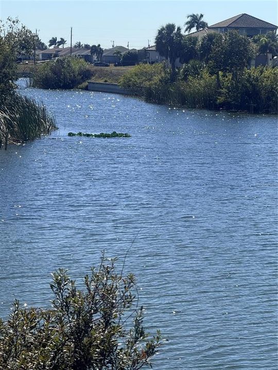 En Venta: $62,900 (0.30 acres)
