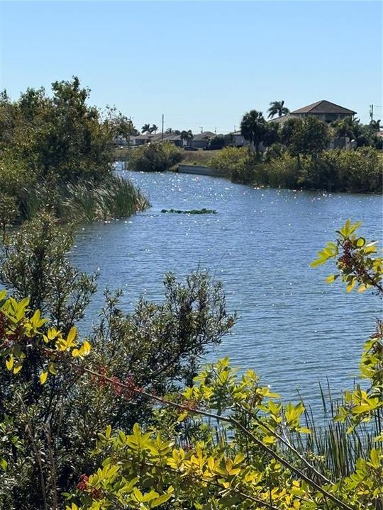 En Venta: $62,900 (0.30 acres)