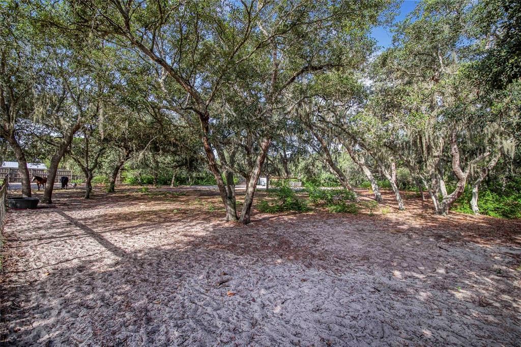 En Venta: $799,000 (3 camas, 2 baños, 2052 Pies cuadrados)