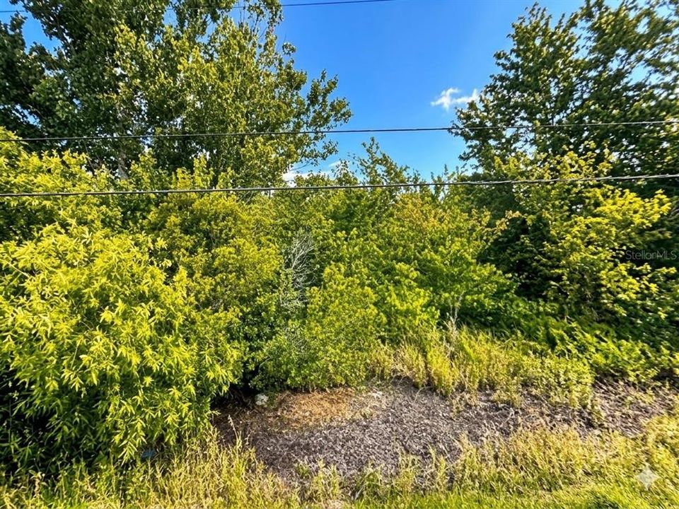 For Sale: $255,000 (9.47 acres)