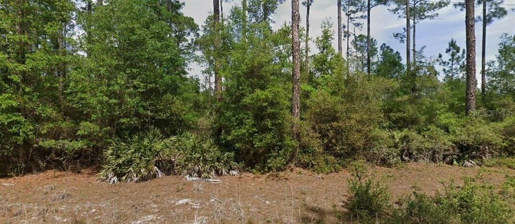 На продажу: $55,000 (4.60 acres)