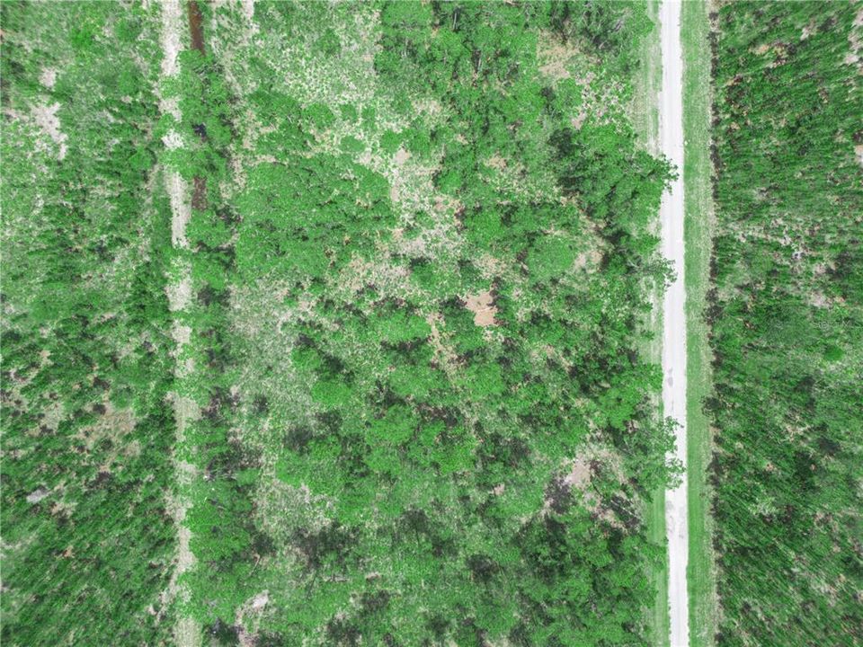 En Venta: $15,000 (0.50 acres)