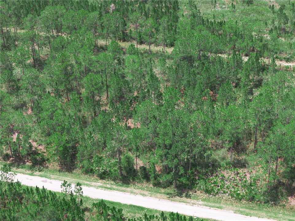 En Venta: $15,000 (0.50 acres)