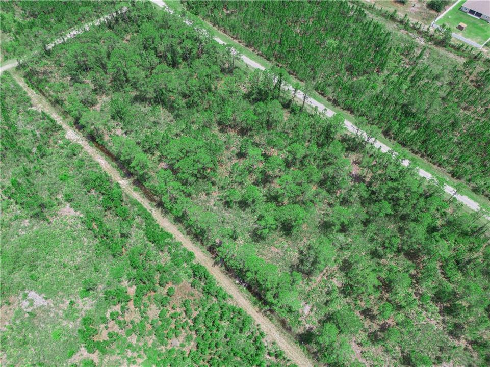En Venta: $15,000 (0.50 acres)