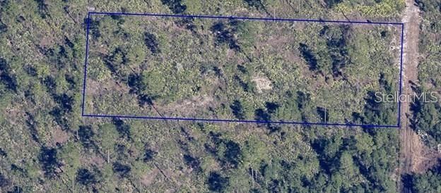 待售: $12,000 (1.25 acres)
