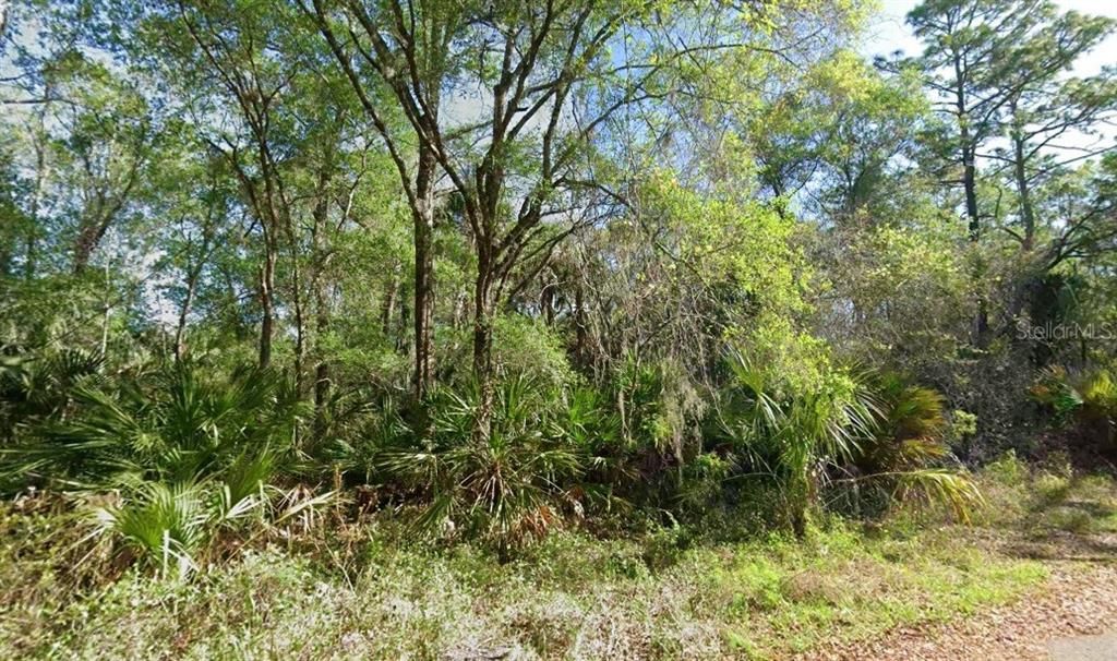 For Sale: $36,000 (1.30 acres)