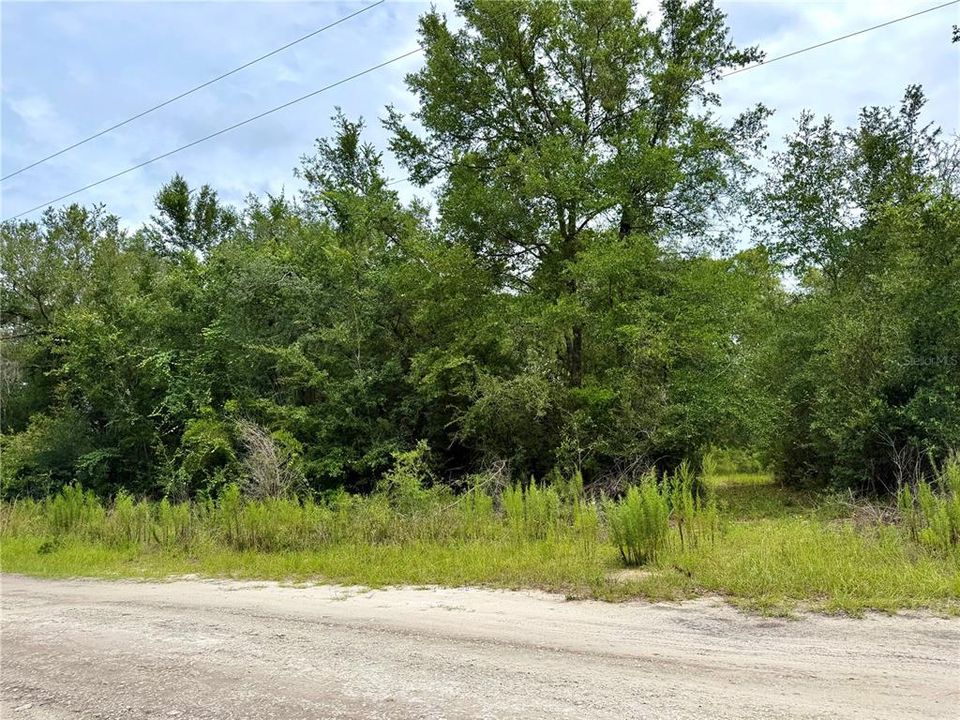 На продажу: $50,000 (1.25 acres)