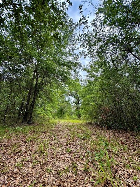 На продажу: $50,000 (1.25 acres)