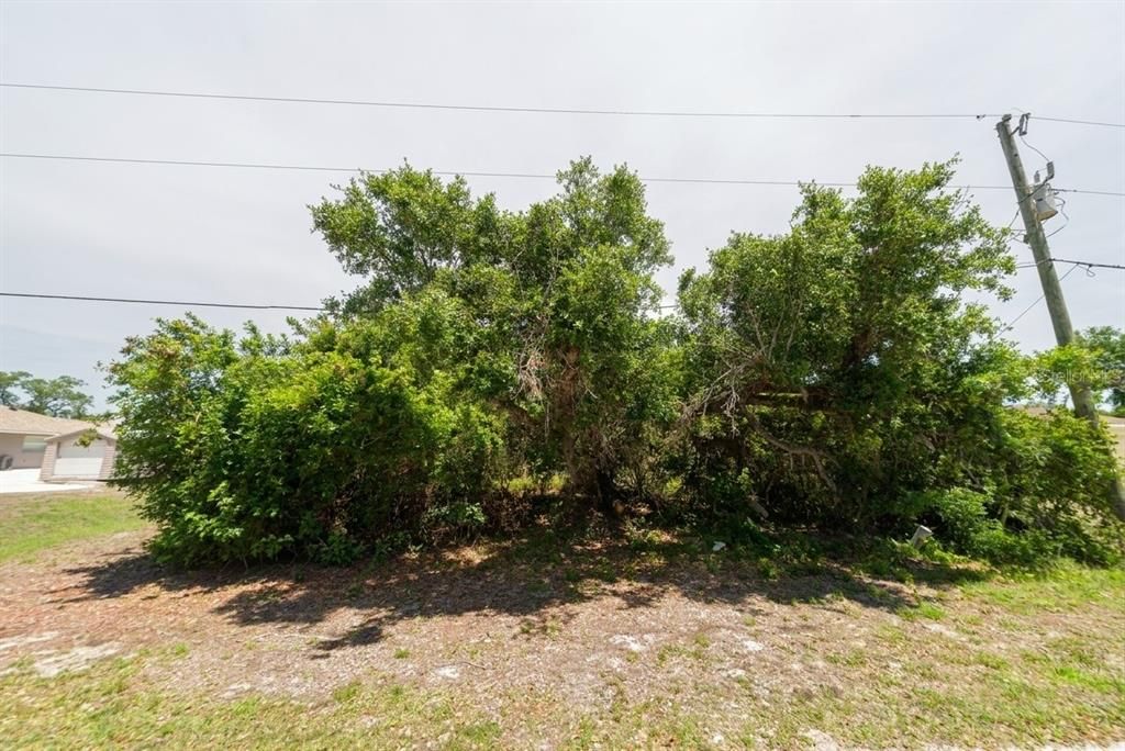 En Venta: $19,000 (0.23 acres)