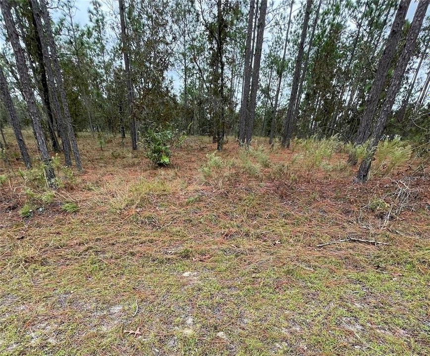 En Venta: $9,000 (0.25 acres)