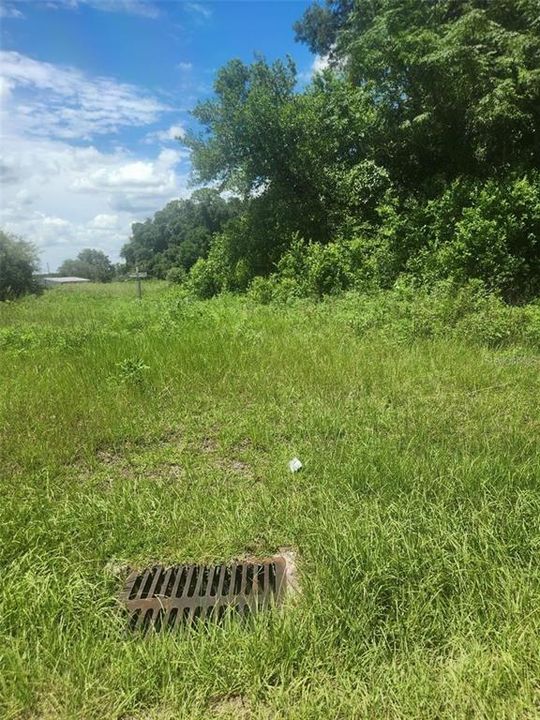 For Sale: $119,000 (1.09 acres)
