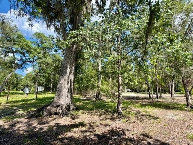 待售: $190,000 (1.14 acres)