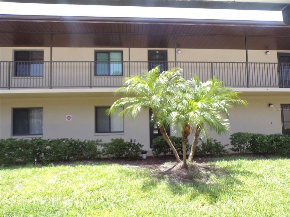 For Rent: $2,800 (2 beds, 2 baths, 893 Square Feet)