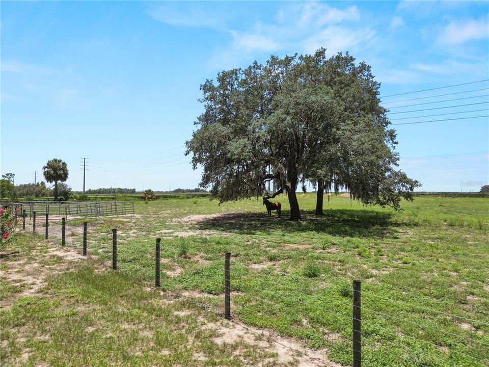 En Venta: $625,000 (4 camas, 2 baños, 2296 Pies cuadrados)