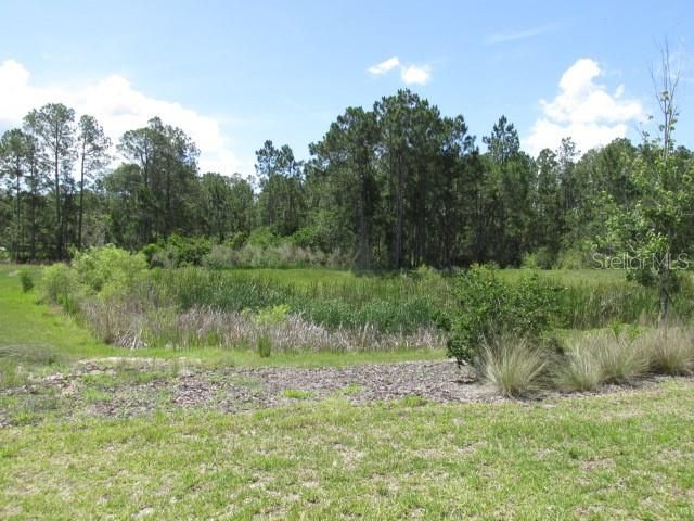 For Sale: $1,199,900 (12 beds, 11 baths, 5046 Square Feet)