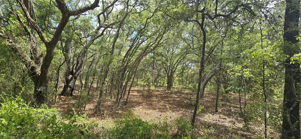 На продажу: $1,870,000 (40.41 acres)