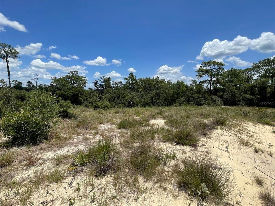На продажу: $30,000 (0.20 acres)