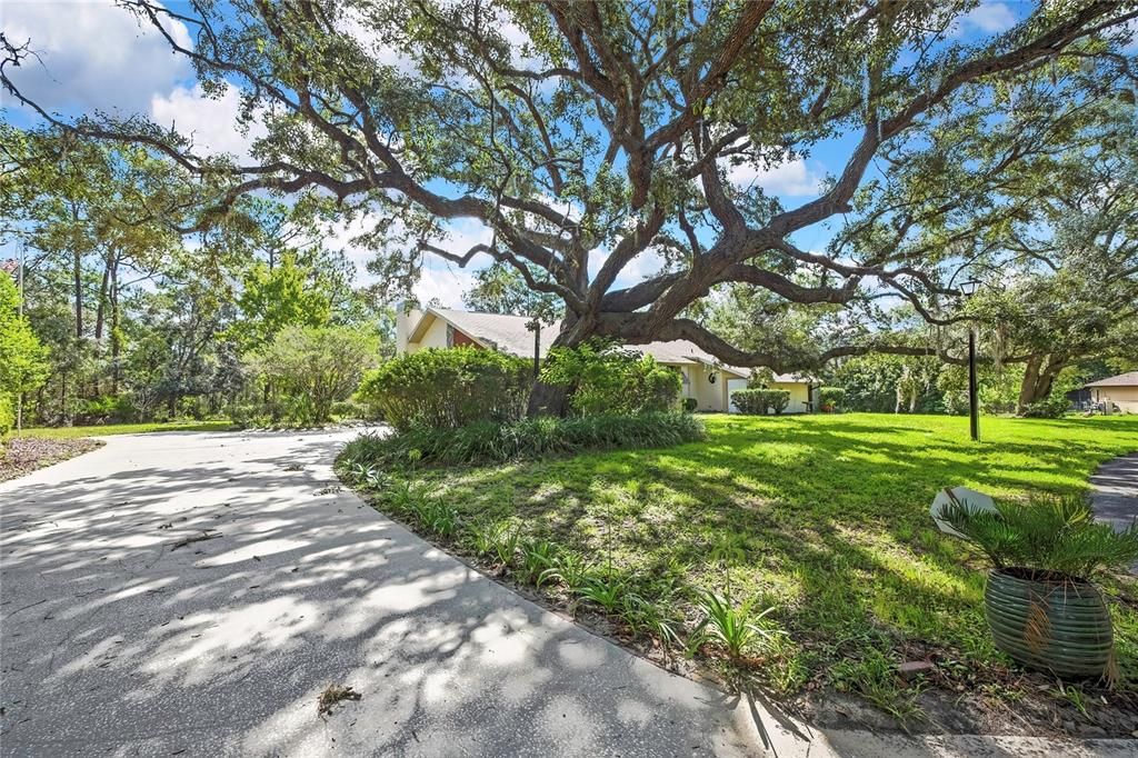 En Venta: $389,900 (3 camas, 2 baños, 2198 Pies cuadrados)