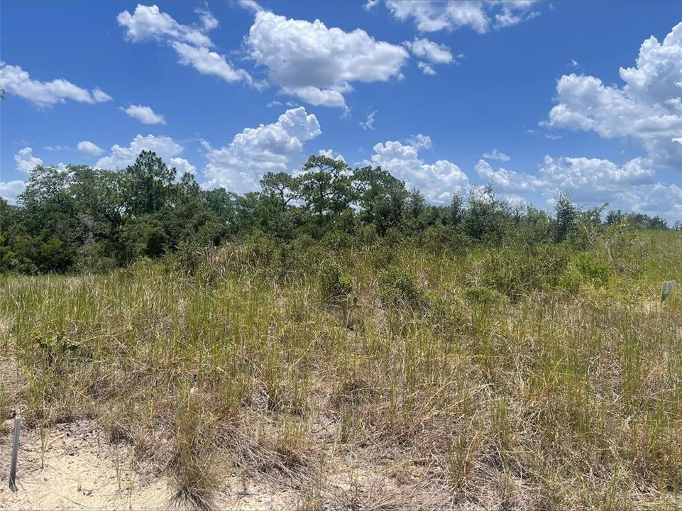 En Venta: $30,000 (0.19 acres)