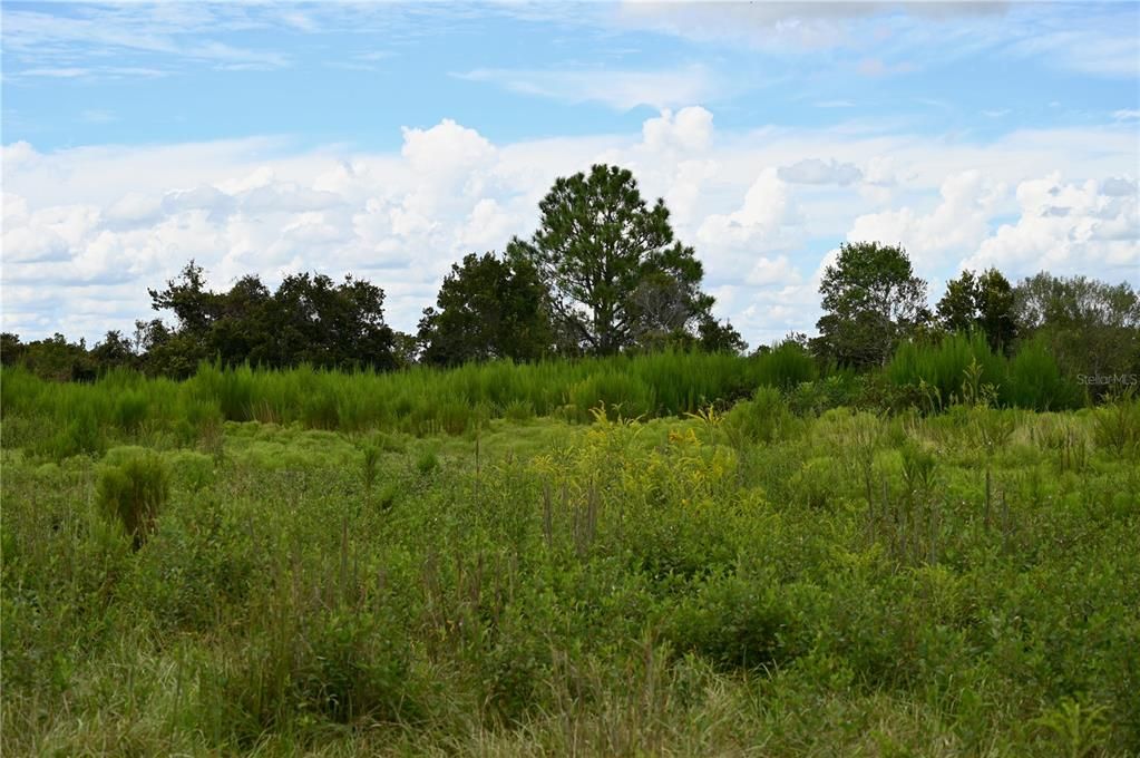 待售: $484,000 (40.11 acres)