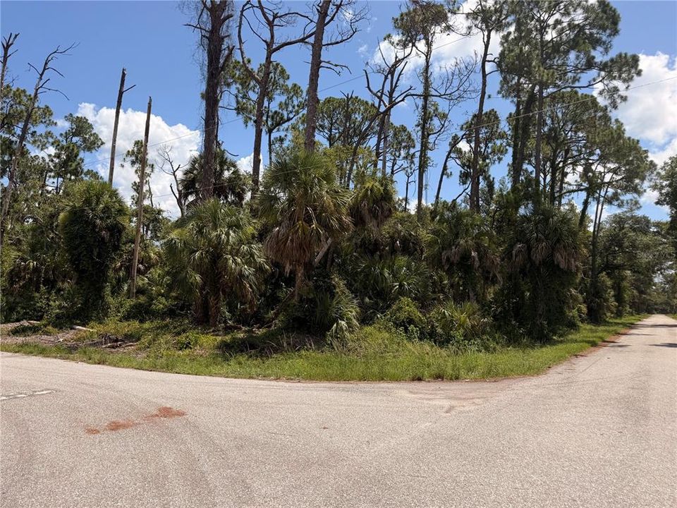 На продажу: $29,800 (0.33 acres)