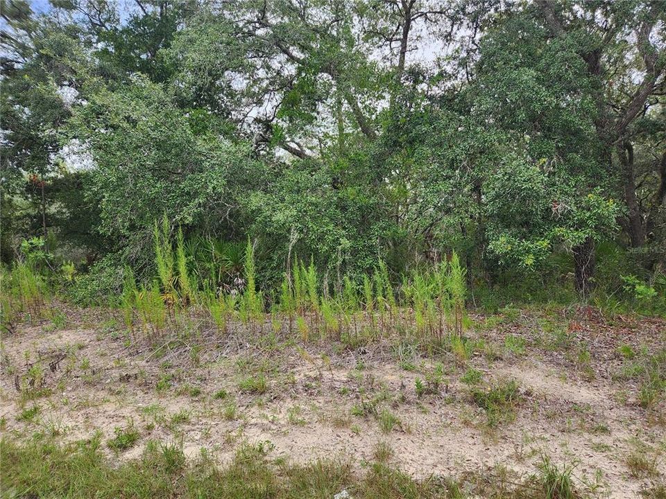 Active With Contract: $25,900 (0.52 acres)