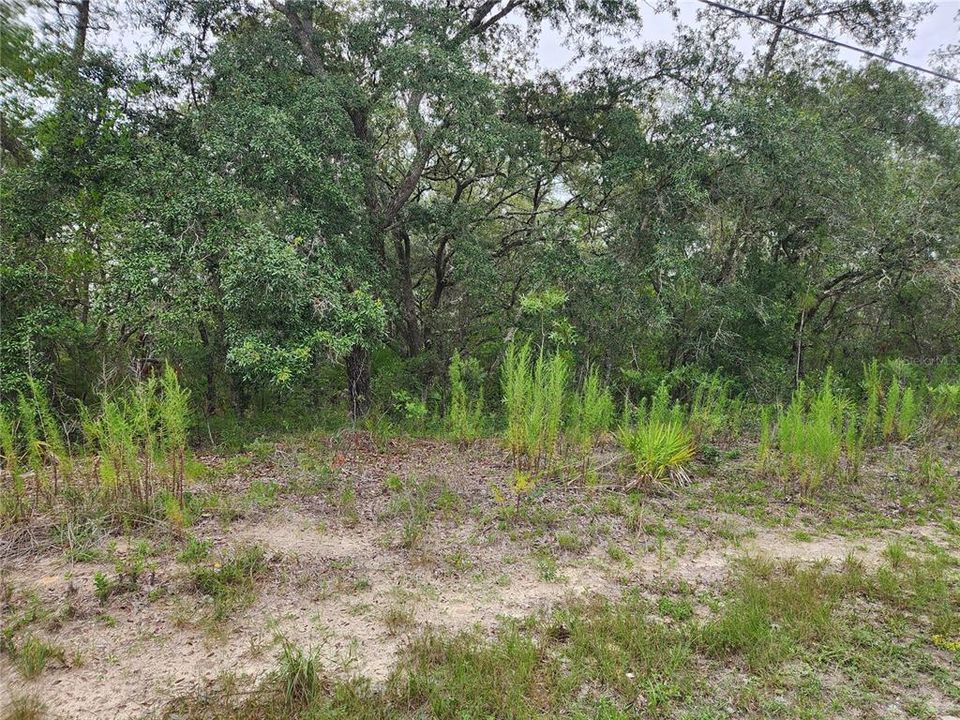Active With Contract: $25,900 (0.52 acres)