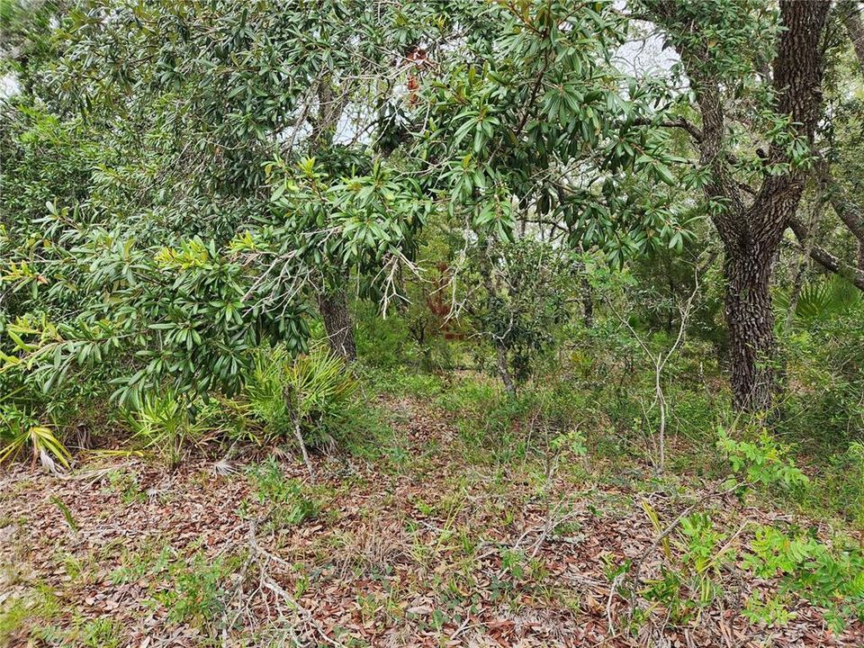Active With Contract: $25,900 (0.52 acres)