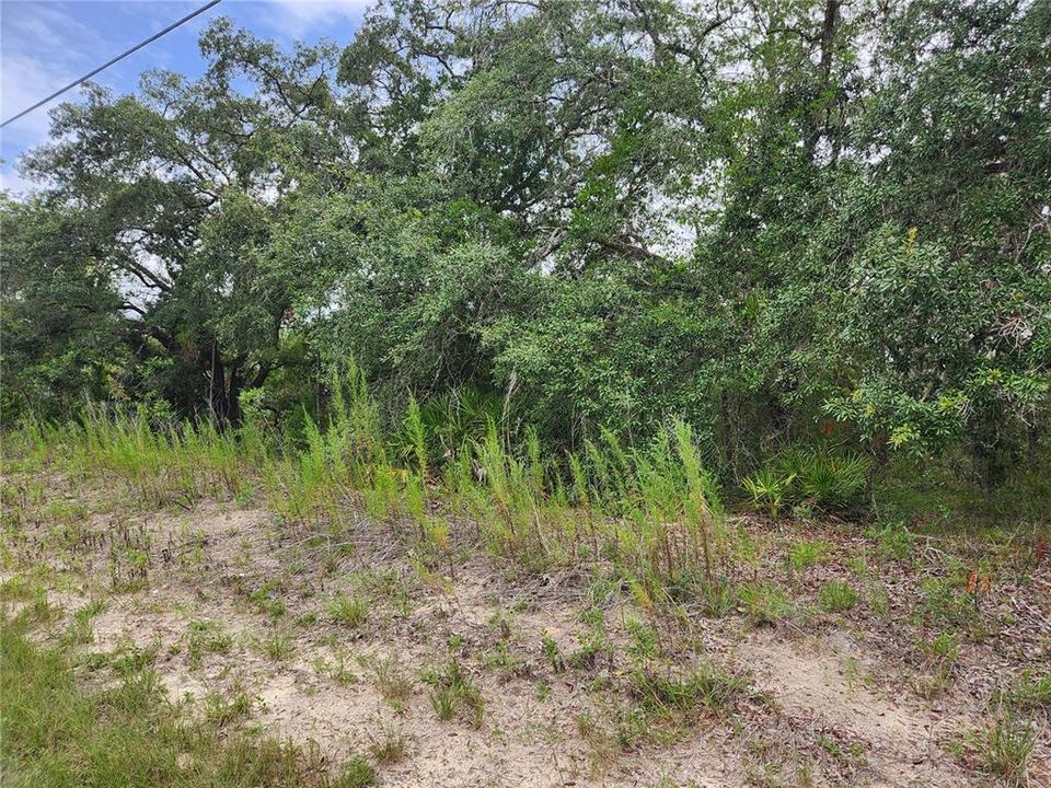 Active With Contract: $25,900 (0.52 acres)